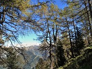 56 Sul sentierino di salita dal Passo di Monte Colle al Pizzo Badile larici colorati d'autunno